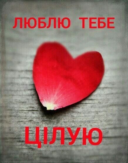 любов