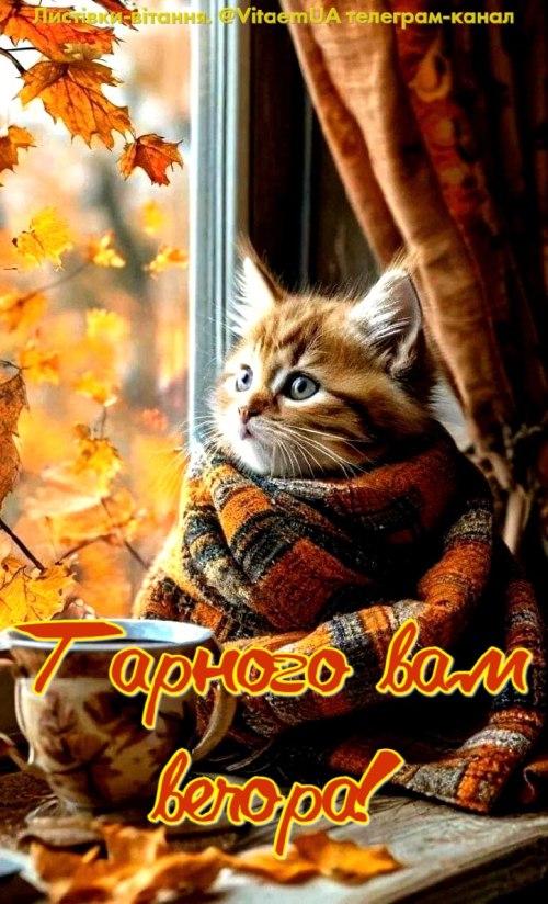 Гарного вечора
