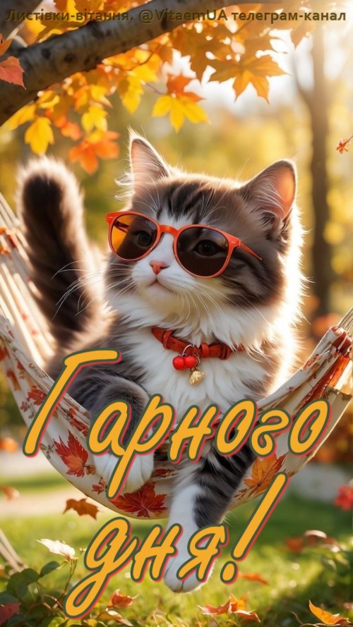 Гарного дня