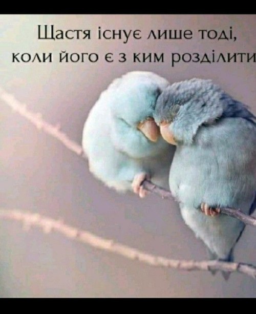 Мудрі слова