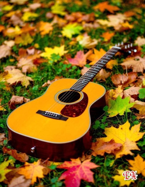 свята, щастя, гітара