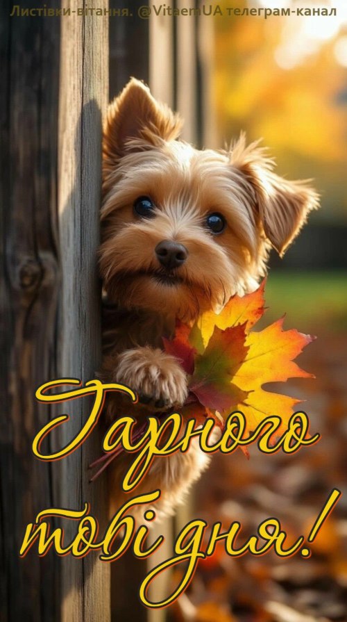 Гарного дня 5911