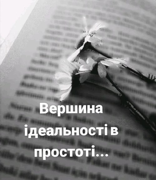 Мудрі слова