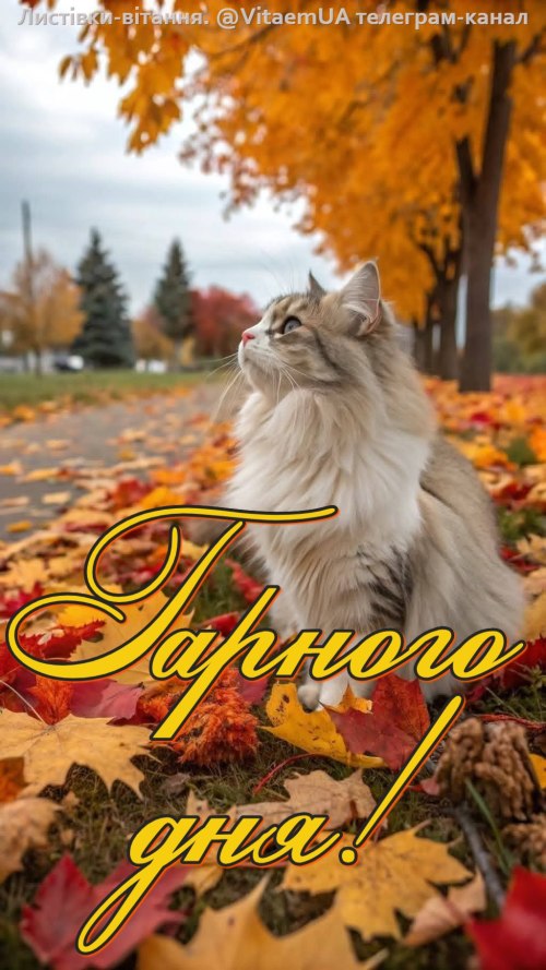 Гарного дня 5922