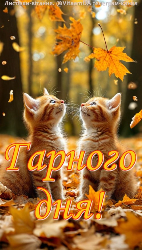 Гарного дня 5954