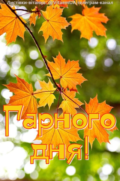 Гарного дня 5961