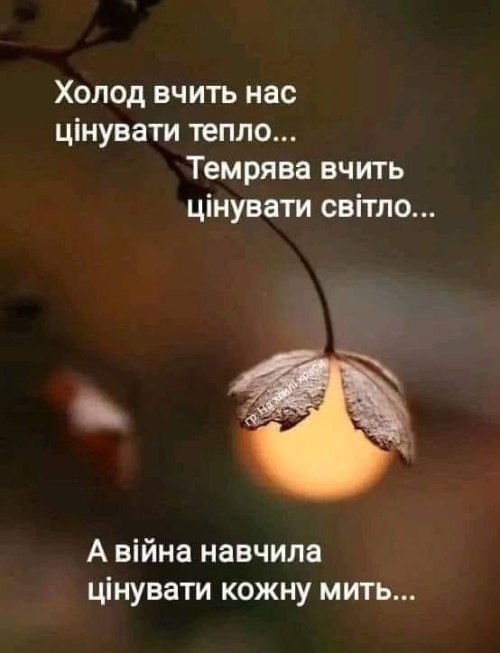 Мудрі слова