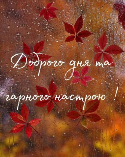 Гарного дня 6048