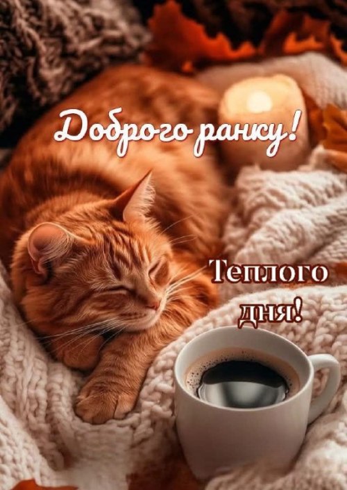 Доброго ранку