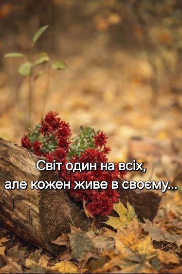 Мудрі слова