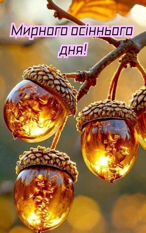 Гарного дня