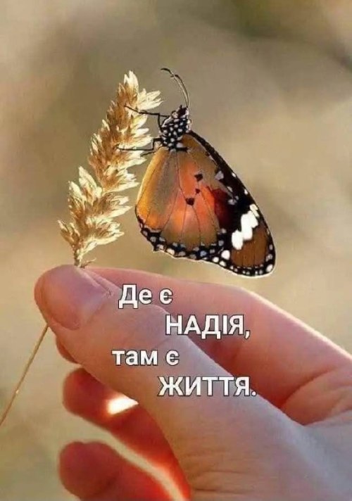 Мудрі слова