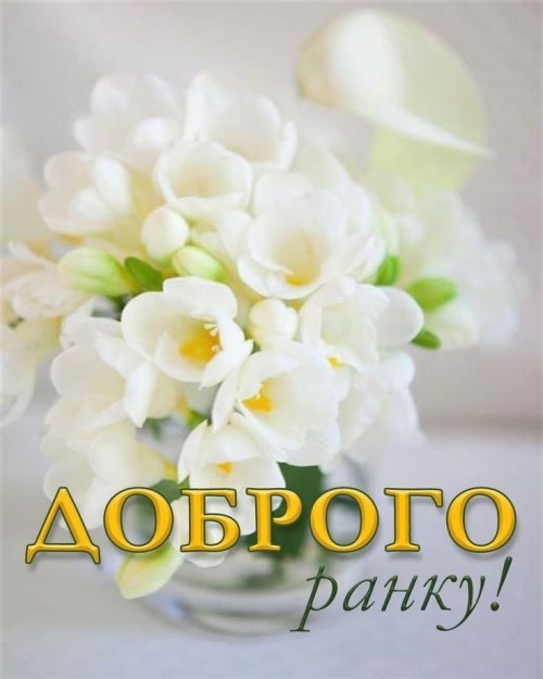 Доброго ранку