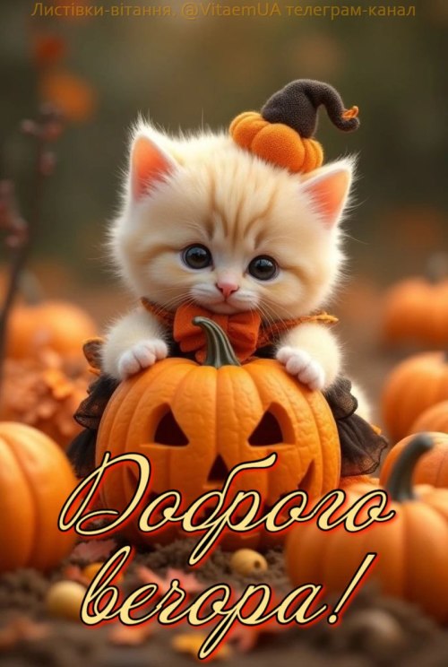 Гарного вечора