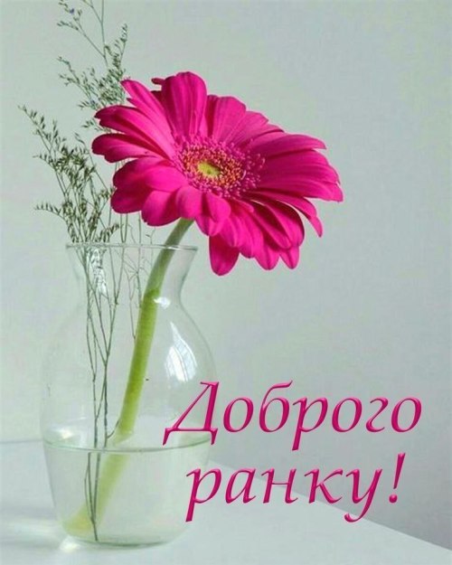 Доброго ранку