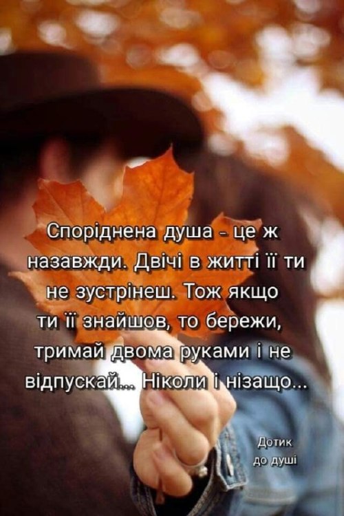 Мудрі слова