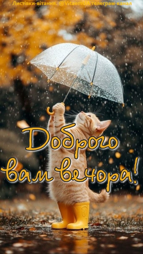 Гарного вечора