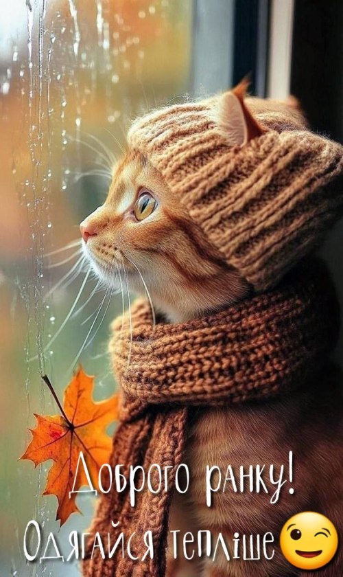 Доброго ранку