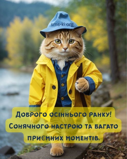 Доброго ранку