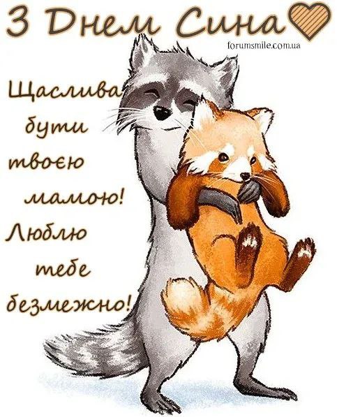 сину, любов 6258