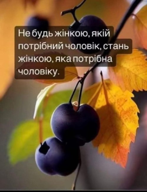 Мудрі слова