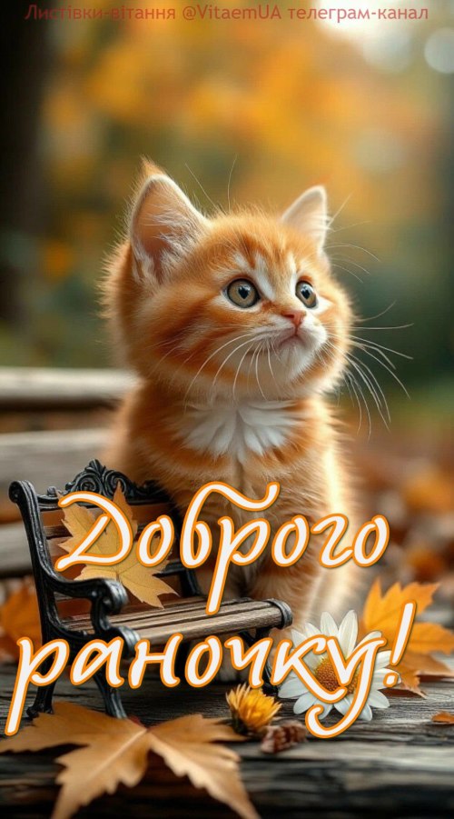 Доброго ранку