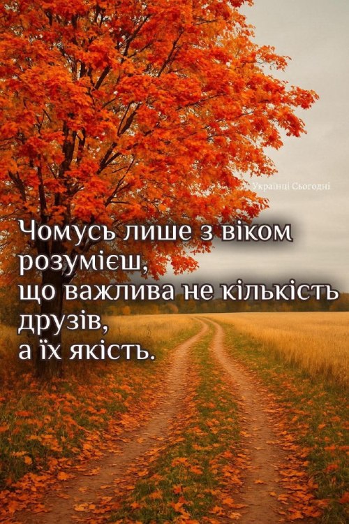 Мудрі слова