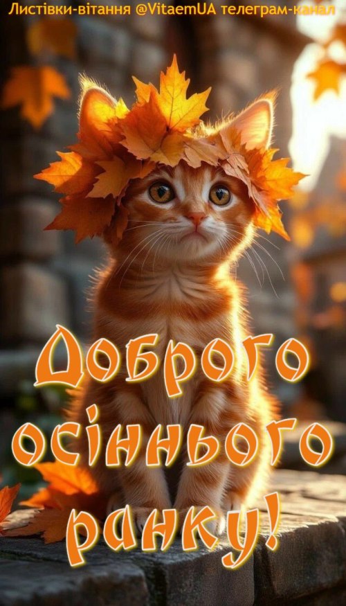 Доброго ранку