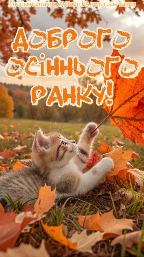 Доброго ранку