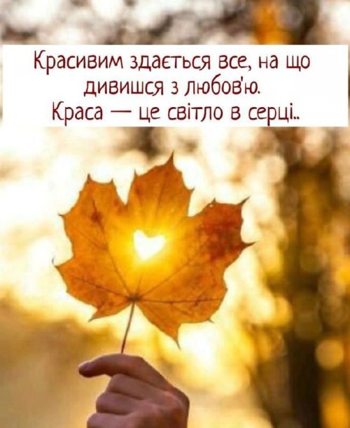 Мудрі слова