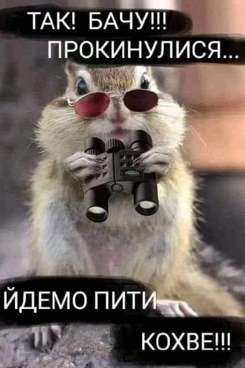 Доброго ранку