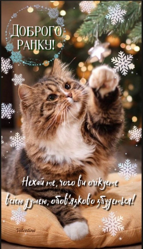 Доброго ранку