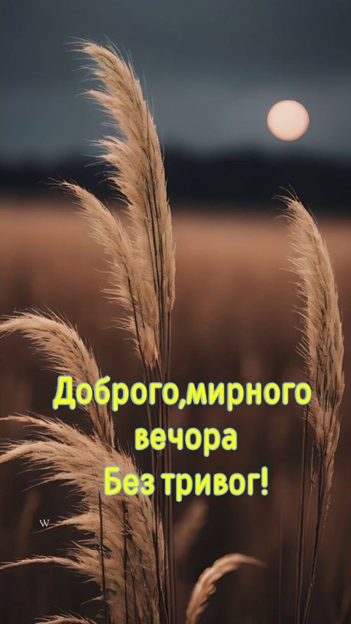 Гарного вечора 6499