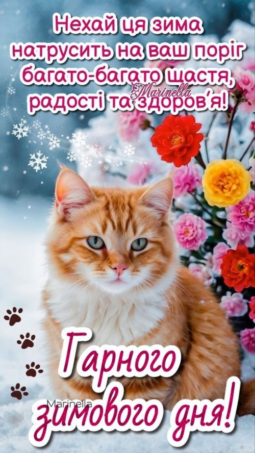 Гарного дня 6564