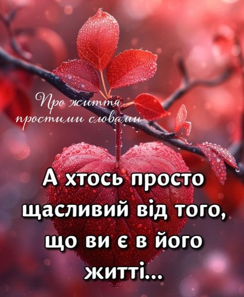 Мудрі слова 6627