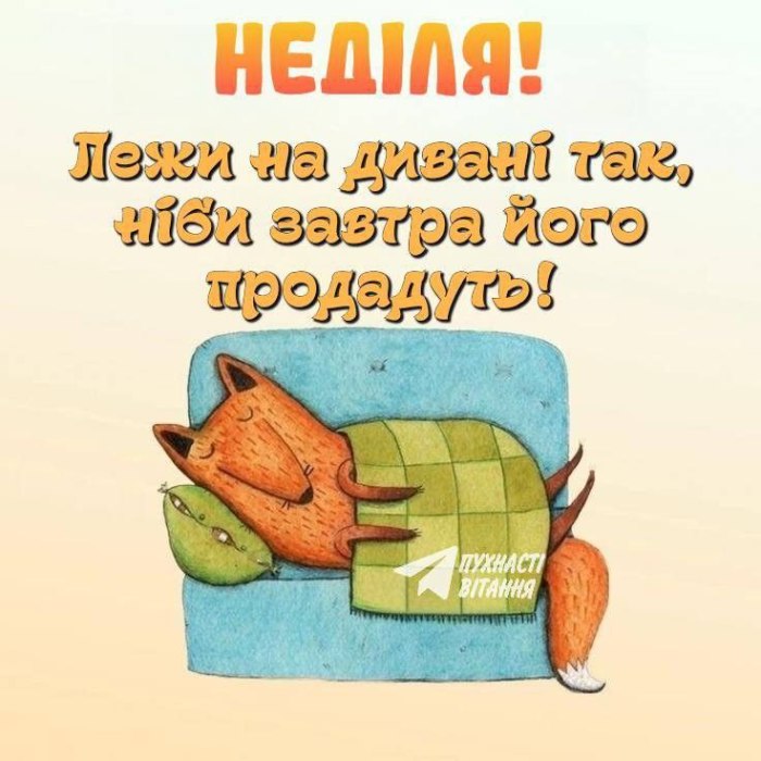 гумор, прикольні, неділя, вихідні 6633