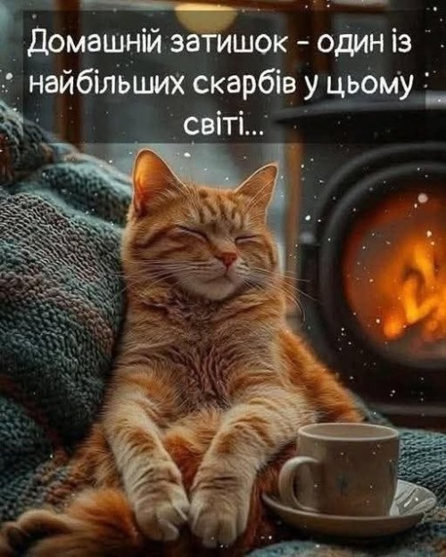 Мудрі слова 6637