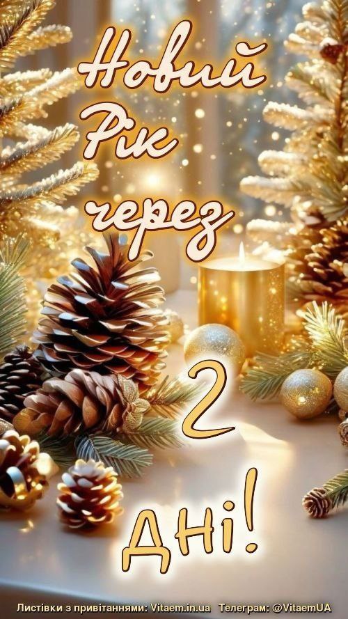 дні до Нового року ❄️