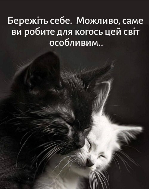 Мудрі слова 6671