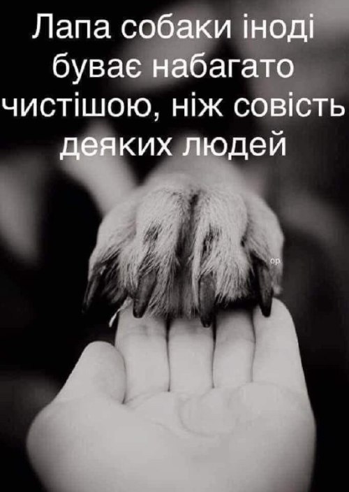 Мудрі слова