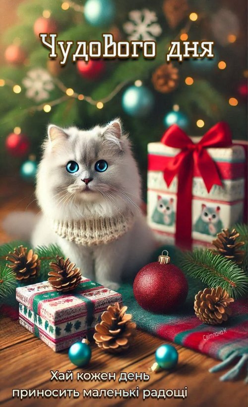 Гарного дня 6698