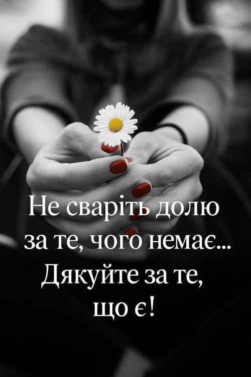 Мудрі слова 6703