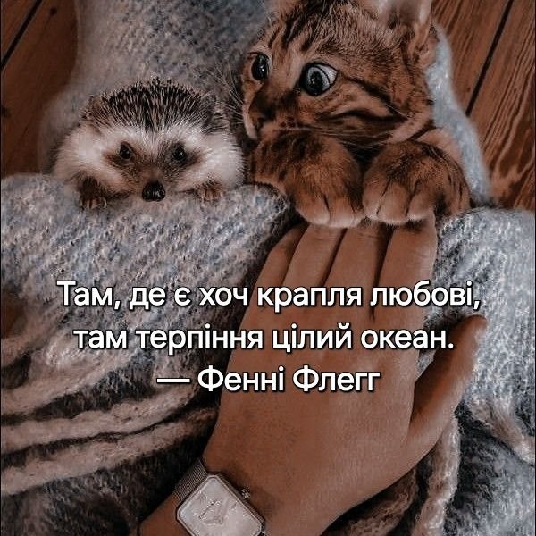 Мудрі слова