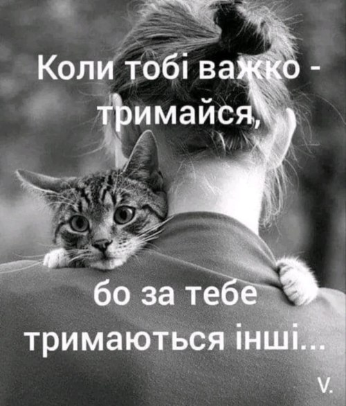 Мудрі слова