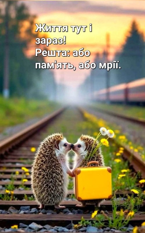 Мудрі слова