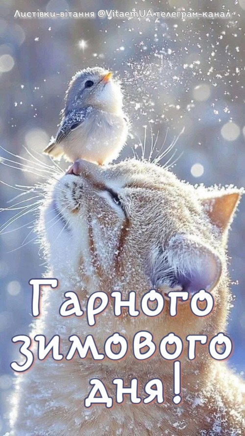 Гарного дня