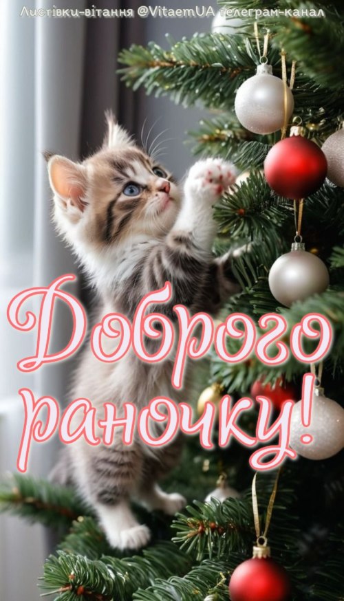 Доброго ранку