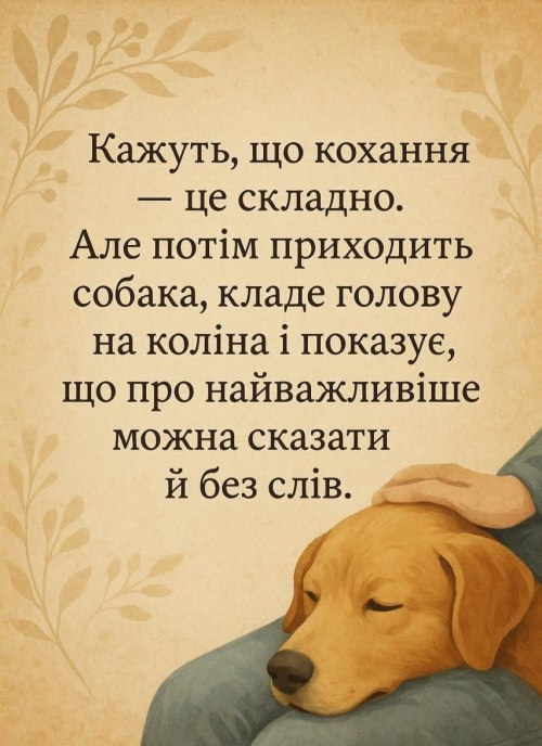 Мудрі слова