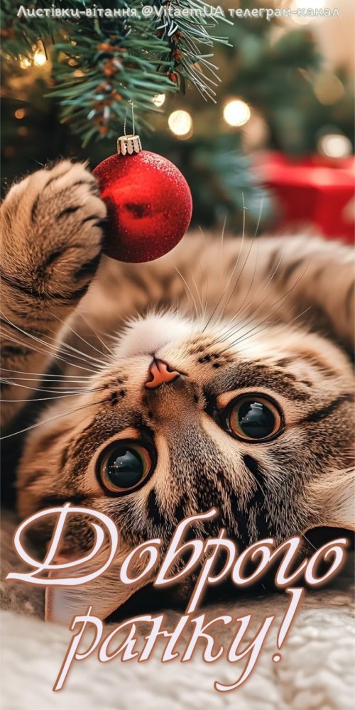 Доброго ранку