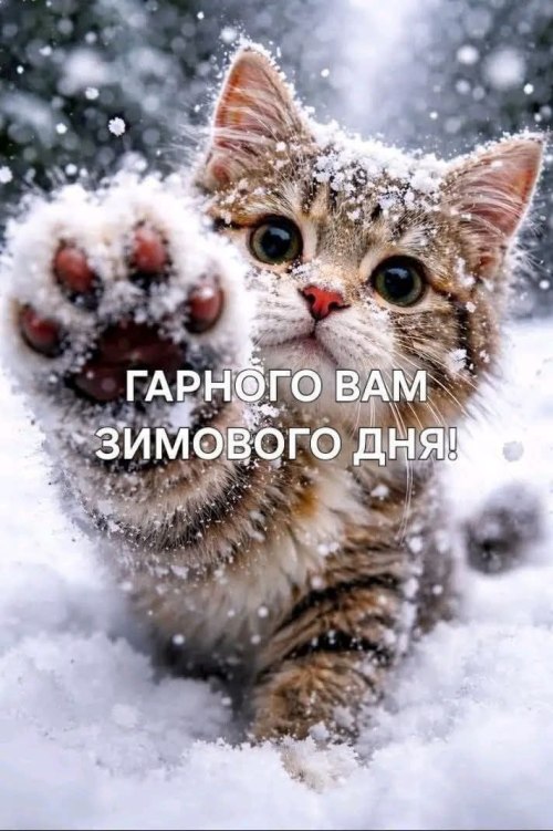 Гарного дня